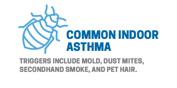 common indoor asthma triggers include mold, dust mites, smoke and pet hair